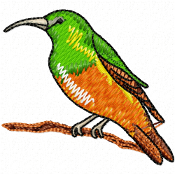 Hummingbirds Embroidery Design 9